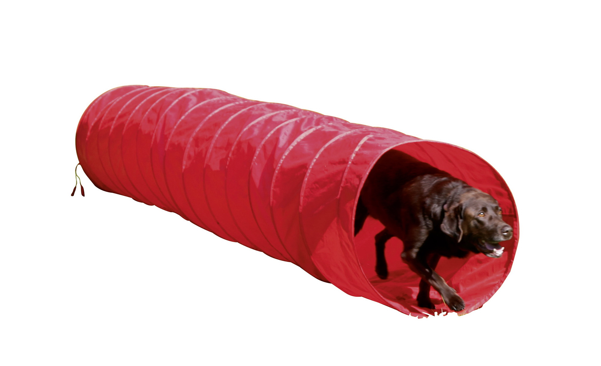 Agility Hundetunnel rot, 5m, 60cm