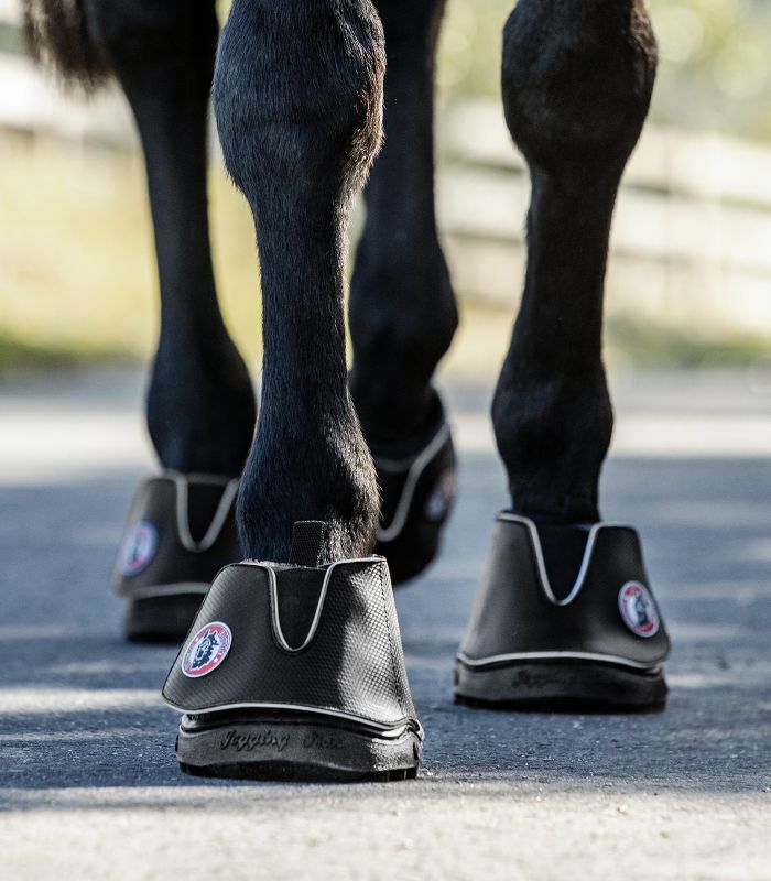 Equine Fusion Active Jogging Shoe