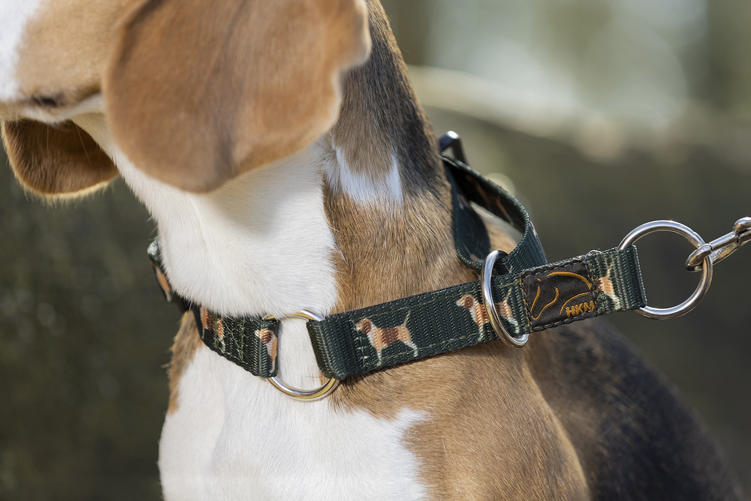 HKM Hundehalsband -Beagle-