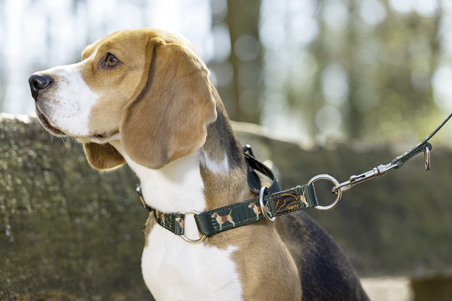 HKM Hundehalsband -Beagle-